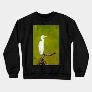 Photograph - White Egret: The Lone Observer Crewneck Sweatshirt